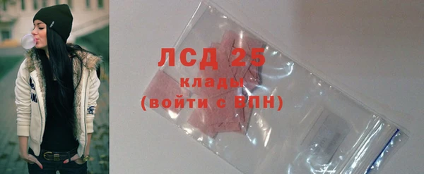 прущие грибы Медвежьегорск