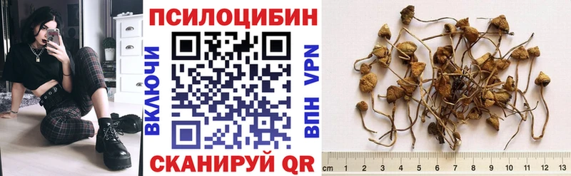 даркнет наркотические препараты  Руза  Галлюциногенные грибы Magic Shrooms 